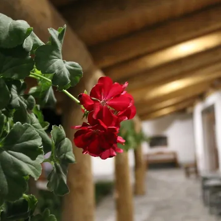 Apartmán Komfort Badacsonytördemic