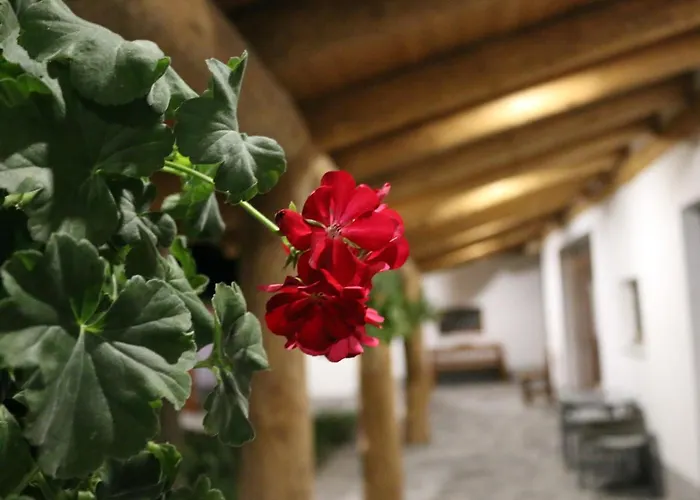 Apartamento Komfort Badacsonytördemic